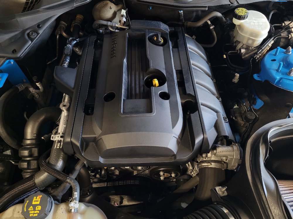 Used 2017 Ford Mustang Coupe RWD image 30