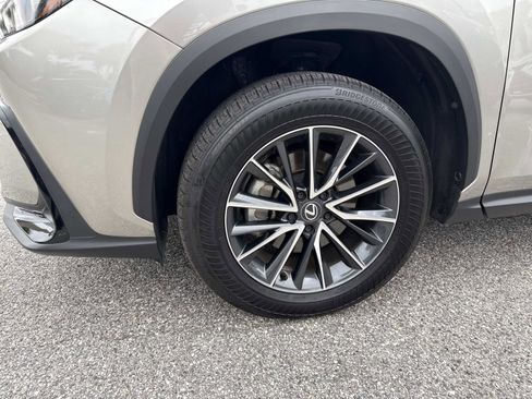 Certified 2025 Lexus NX 350 AWD w/ Premium Package image 9