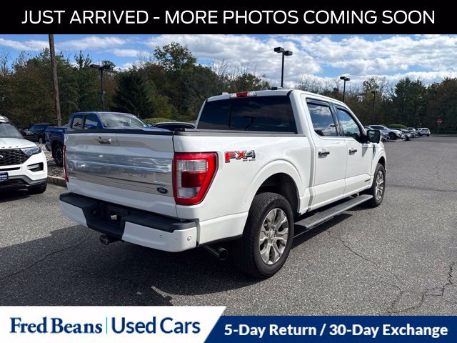 Used 2021 Ford F150 Platinum w/ Equipment Group 701A High AWD/4WD image 9