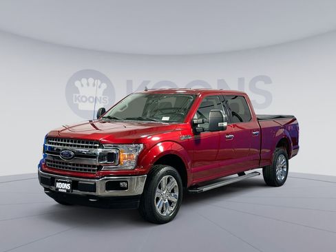 Used 2019 Ford F150 XLT w/ Equipment Group 302A Luxury image 1