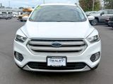 Used 2019 Ford Escape SE image 4
