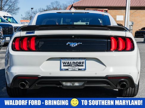 Used 2021 Ford Mustang Coupe w/ Equipment Group 101A image 5