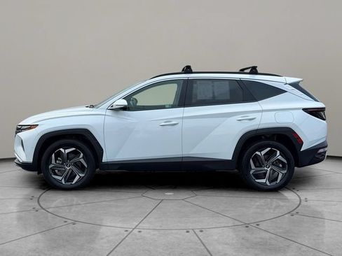 Used 2024 Hyundai Tucson Limited AWD/4WD image 3