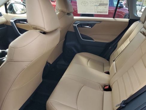 New 2025 Toyota RAV4 XLE Premium image 13