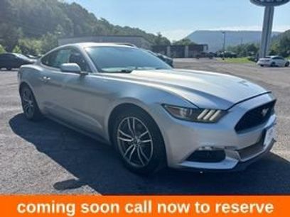 Used 2015 Ford Mustang Premium w/ Equipment Group 201A