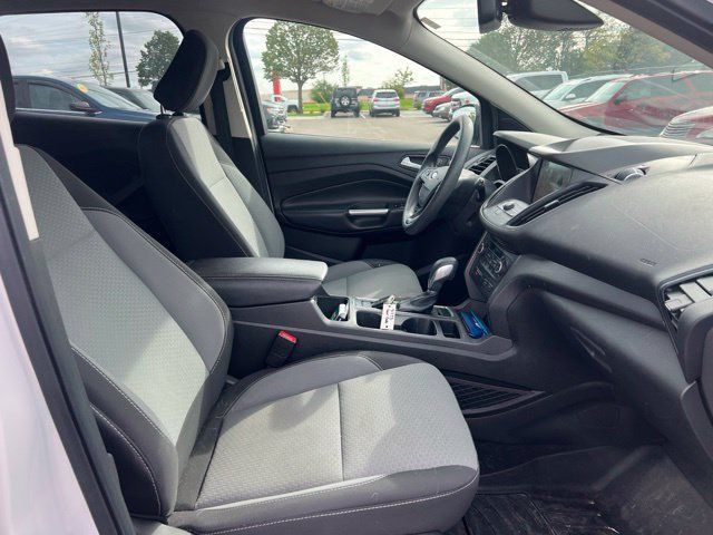 Used 2019 Ford Escape SE AWD/4WD image 10
