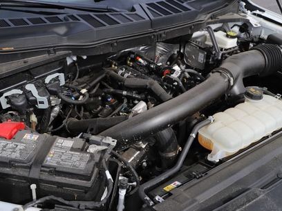 Used 2025 Ford F150 XLT w/ Equipment Group 301A Standard