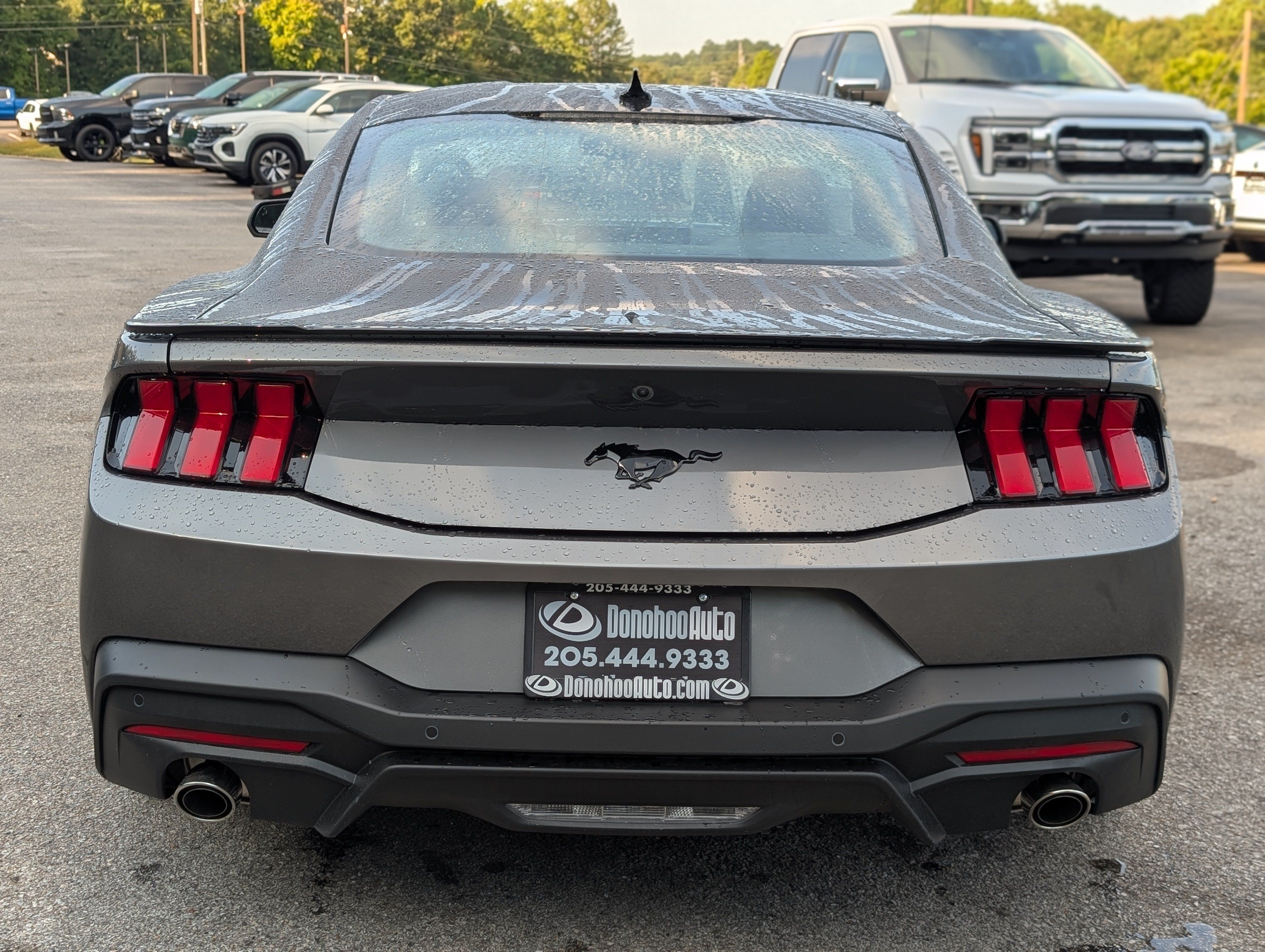 Used 2026 Ford Mustang Coupe w/ Mustang Nite Pony Package RWD image 8