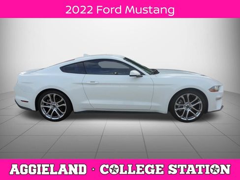 Used 2022 Ford Mustang Premium w/ Equipment Group 201A RWD image 2