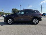 Used 2023 Ford Escape Active w/ Tech Pack #2 image 2