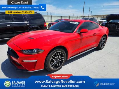 Used 2019 Ford Mustang Coupe w/ Equipment Group 101A