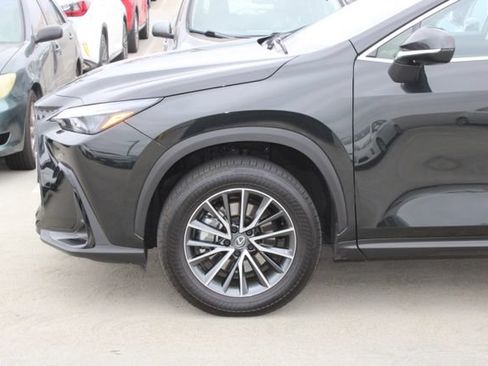Used 2025 Lexus NX 350h AWD w/ Cold Area Package image 4