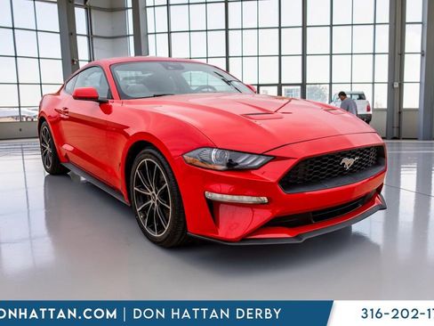 Used 2023 Ford Mustang Coupe w/ Equipment Group 101A RWD image 30