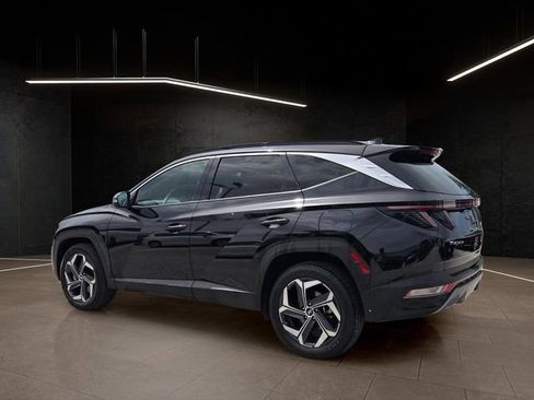 Used 2024 Hyundai Tucson Limited AWD/4WD image 5