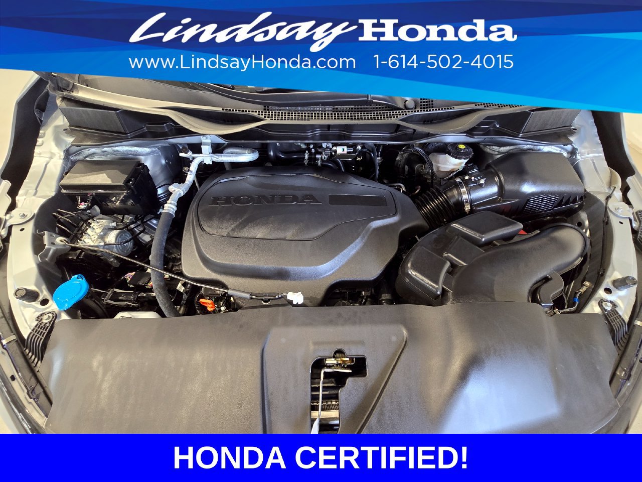Certified 2026 Honda Odyssey Elite image 26