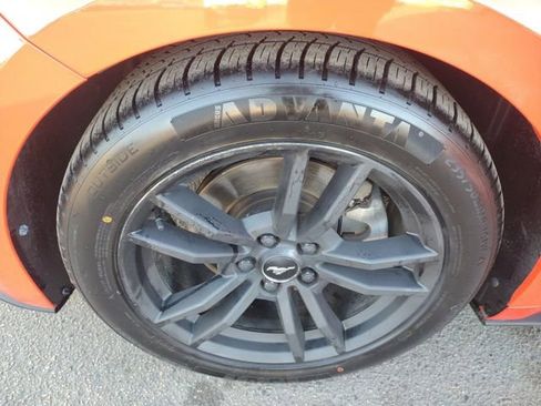 Used 2016 Ford Mustang Premium w/ Equipment Group 201A image 47