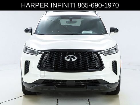 Used 2025 INFINITI QX60 Luxe w/ Black Edition image 17