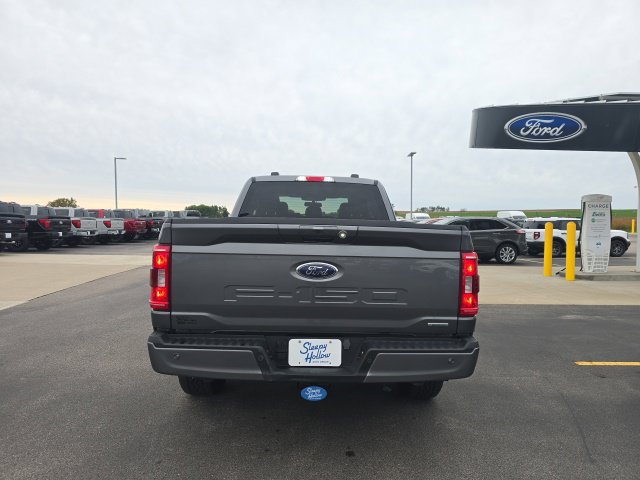 Used 2023 Ford F150 XLT w/ Equipment Group 302A High AWD/4WD image 6