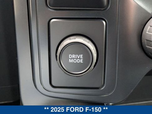 New 2025 Ford F150 STX w/ Equipment Group 200A image 33