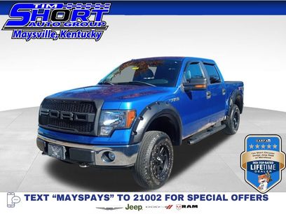 Used 2010 Ford F150 4x4 SuperCrew
