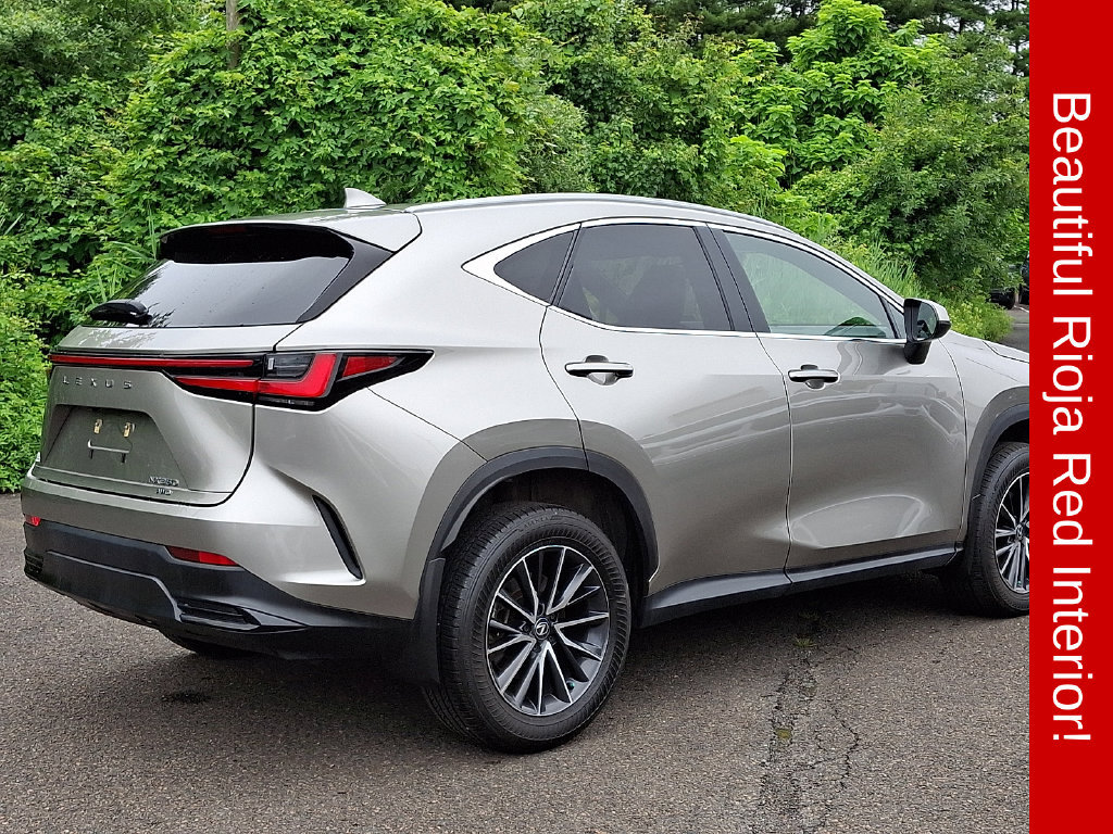 Used 2024 Lexus NX 350 AWD w/ Cold Area Package image 6