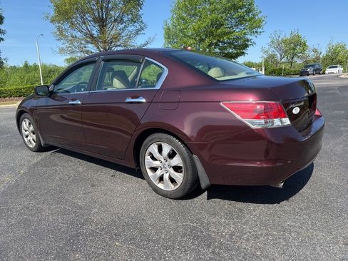 Used 2010 Honda Accord EX-L image 3