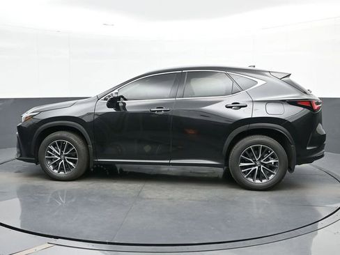 Used 2025 Lexus NX 350 AWD w/ Cold Area Package image 5