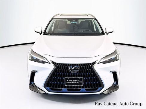 Certified 2024 Lexus NX 350 AWD w/ Cold Area Package image 2