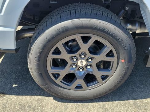 New 2026 Ford F150 STX w/ Equipment Group 200A RWD image 6