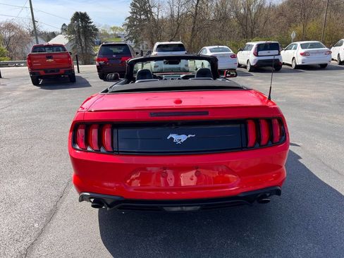 Used 2020 Ford Mustang Premium w/ Equipment Group 201A image 5