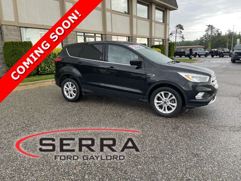 Used 2019 Ford Escape SE AWD/4WD image 1