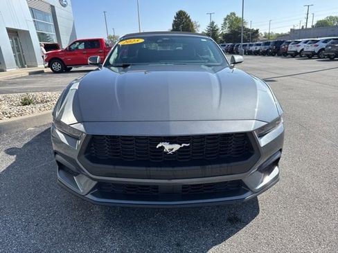 New 2025 Ford Mustang Premium image 3