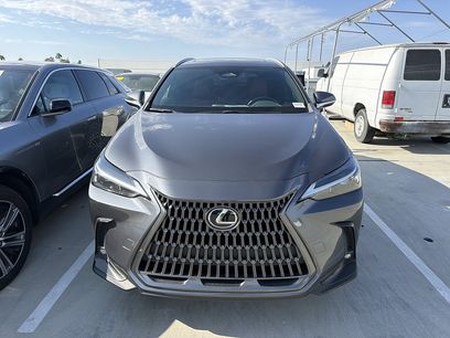 Used 2024 Lexus NX 350 AWD w/ Cold Area Package