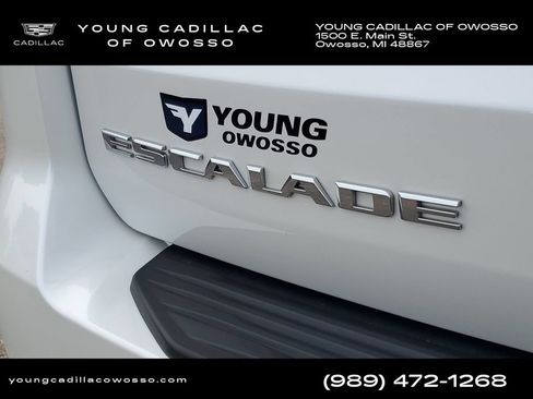 Used 2023 Cadillac Escalade Premium Luxury Platinum w/ Heavy-Duty Trailer Package AWD/4WD image 37