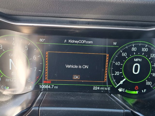 Used 2019 Ford Mustang Bullitt w/ Bullitt Electronics Package RWD image 18
