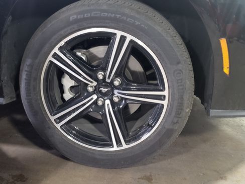 Used 2025 Ford Mustang Premium RWD image 16