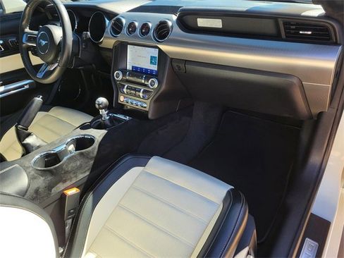 Used 2015 Ford Mustang 50 Years image 9
