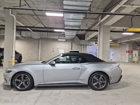 Used 2025 Ford Mustang Convertible RWD image 6