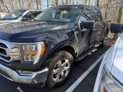 Used 2022 Ford F150 XLT w/ Equipment Group 302A High