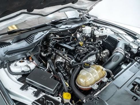Used 2019 Ford Mustang Coupe w/ Black Accent Package RWD image 28