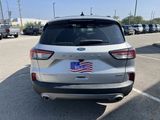 Used 2020 Ford Escape Titanium image 4