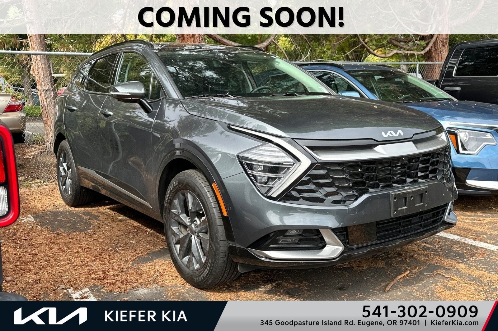 Used 2024 Kia Sportage SX Prestige AWD/4WD image 1
