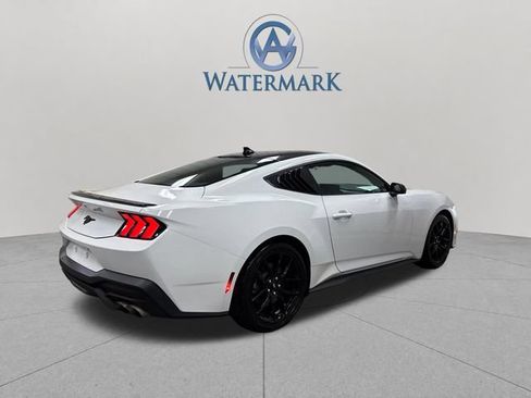 Used 2025 Ford Mustang Coupe w/ Mustang Nite Pony Package RWD image 7