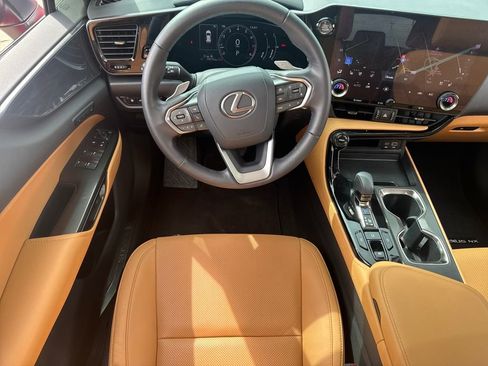 Used 2025 Lexus NX 250 250 Premium w/ Cold Area Package image 16