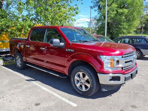 Used 2019 Ford F150 XLT w/ Equipment Group 302A Luxury image 1