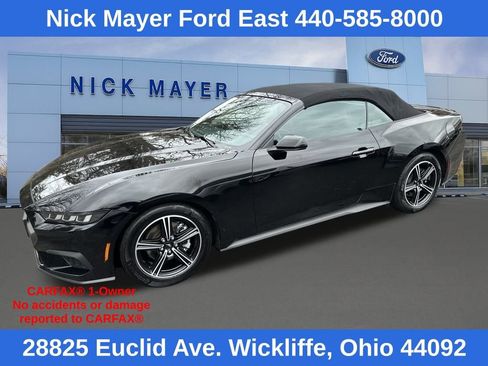 Used 2025 Ford Mustang Premium image 2