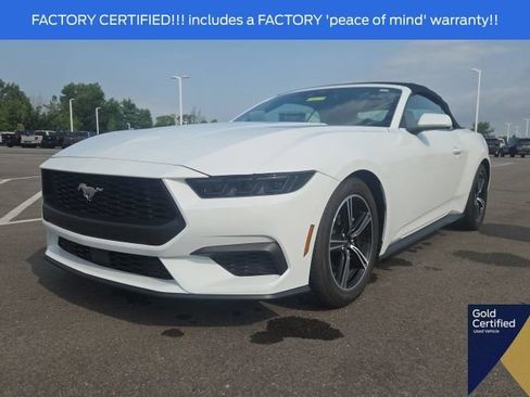 Used 2025 Ford Mustang Premium RWD image 4