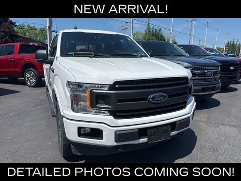 Used 2019 Ford F150 XLT w/ Equipment Group 302A Luxury AWD/4WD image 1
