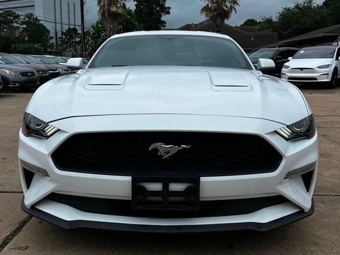 Used 2019 Ford Mustang Coupe w/ Equipment Group 101A RWD image 2