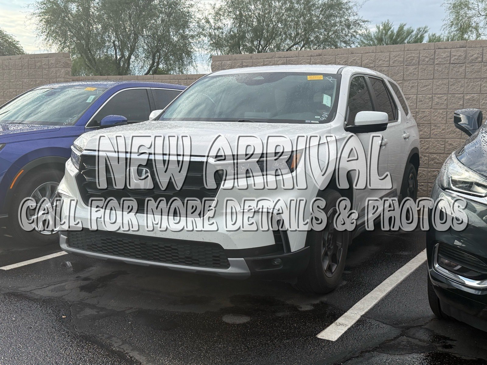 Used 2024 Honda Pilot EX-L image 1